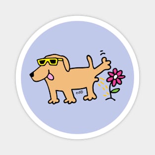 Labrador dog wearing glasses Magnet